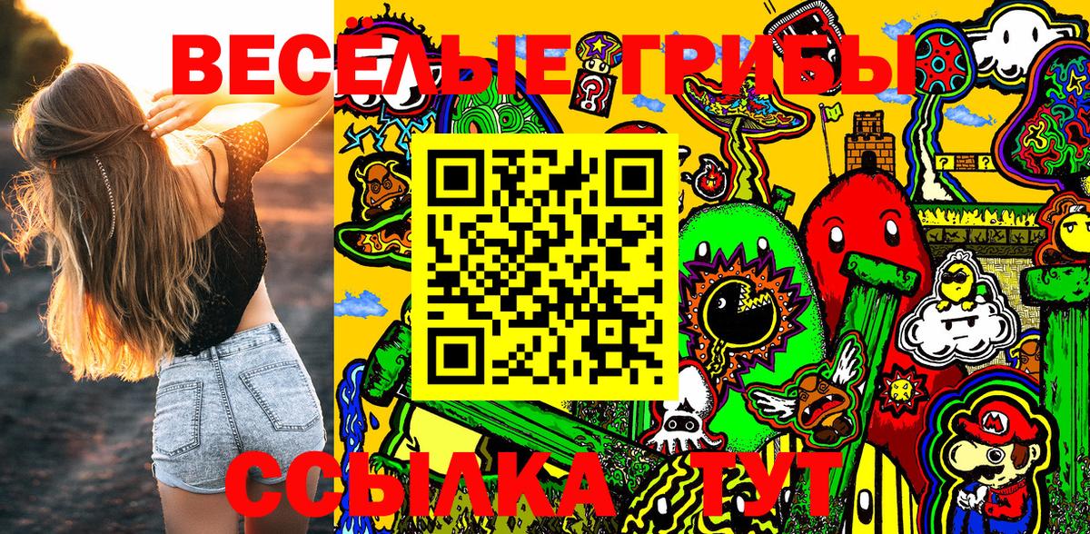 Галлюциногенные грибы Psilocybe Воркута